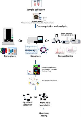 Metabolic Reprogramming—A New Era How to Prevent and Treat Graft Versus Host Disease After Allogeneic Hematopoietic Stem Cell Transplantation Has Begun